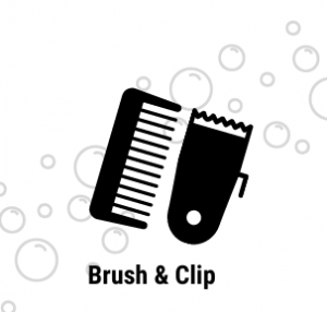 a black and white image of a comb and brush